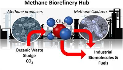 Editorial: Methane: A Bioresource for Fuel and Biomolecules